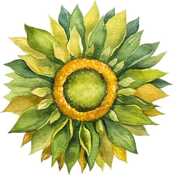 手繪唯美的花朵插畫(huà)