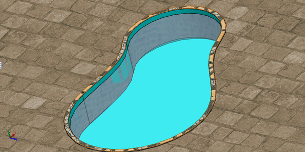 魚