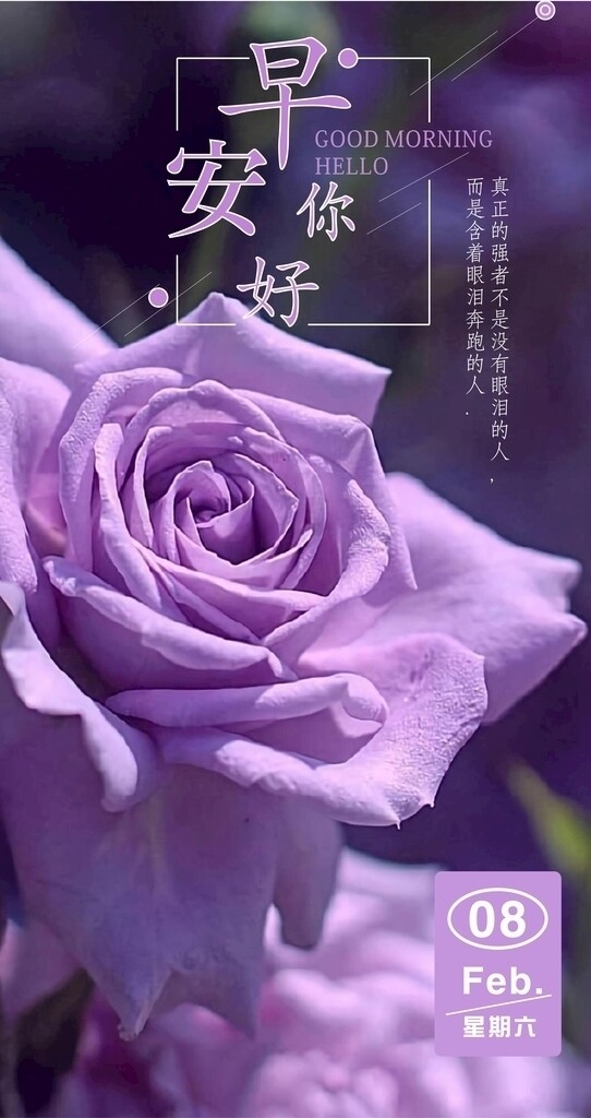 早安