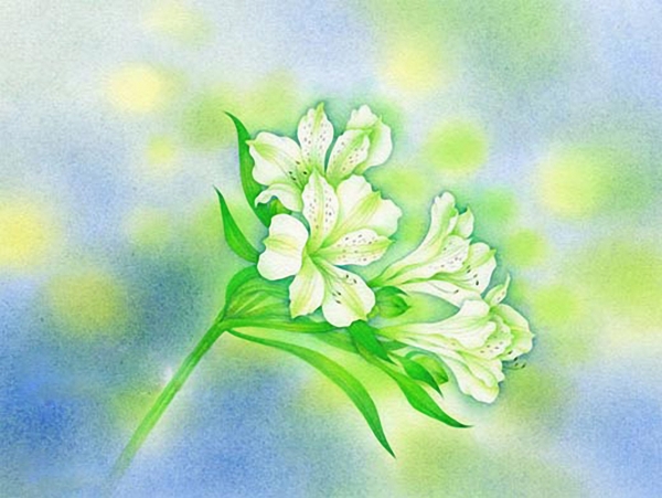 位圖寫意花卉植物花朵免費(fèi)素材