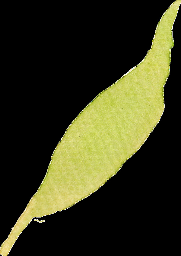 綠紋花葉卡通透明裝飾素材