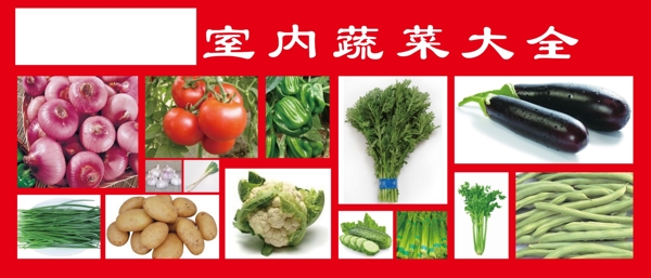 蔬菜