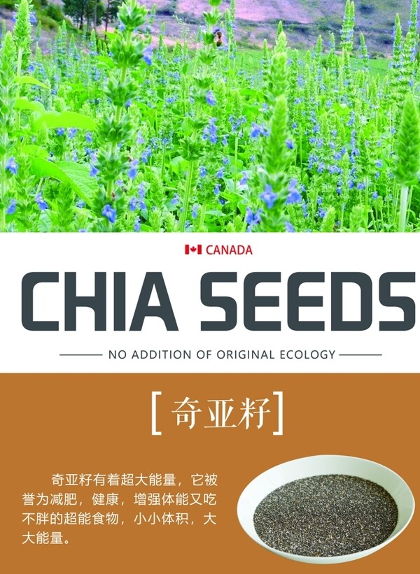 奇亞籽海報(bào)