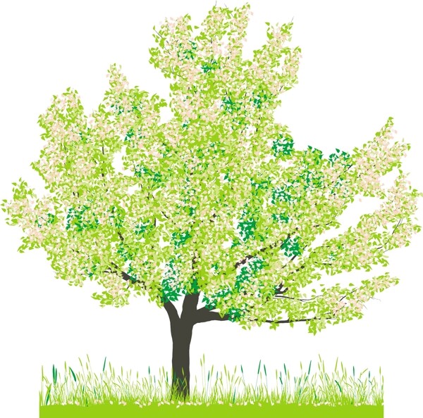 春天绿色树木矢量图下载