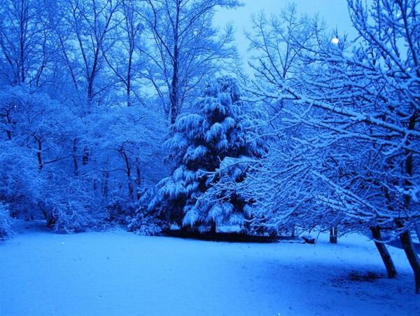 唯美蓝色雪景图片