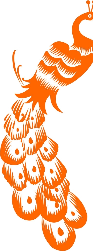 孔雀圖片