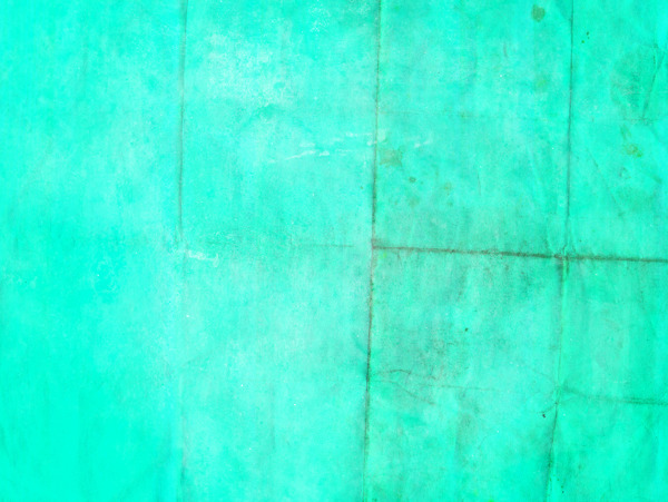 绿色皱纹纸