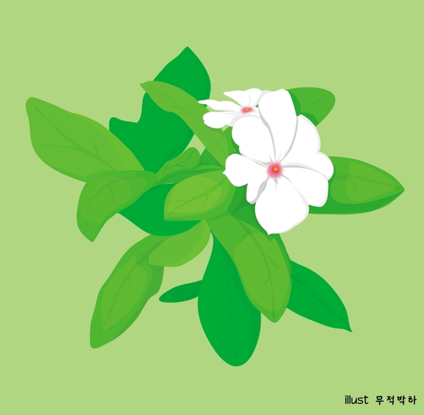 茉莉花矢量圖