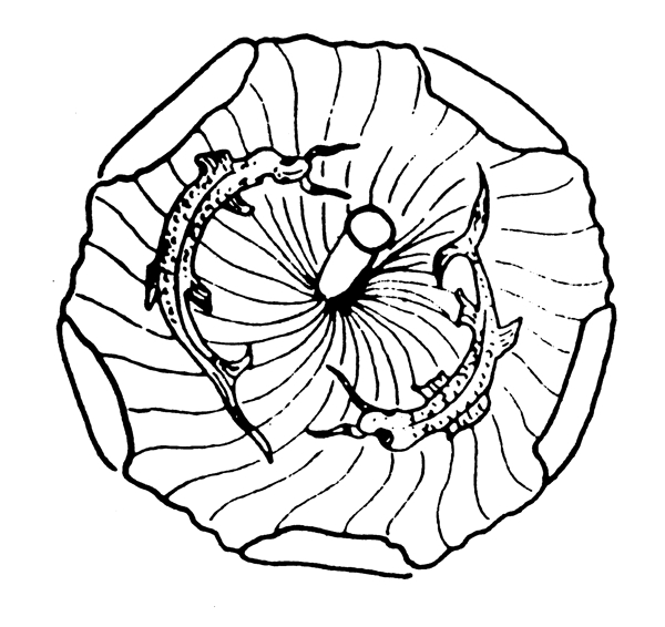 古代器物圖案隋唐五代圖案中國傳統(tǒng)圖案185