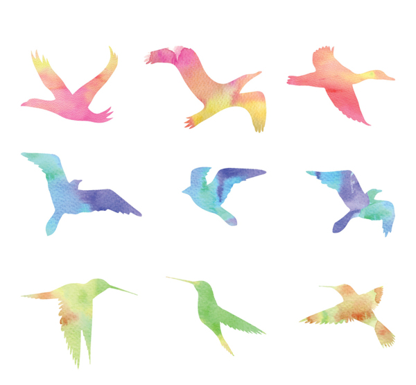 彩色鸟类剪影矢量素材AI