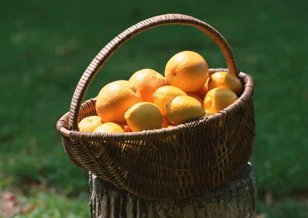 水果新鲜橙色