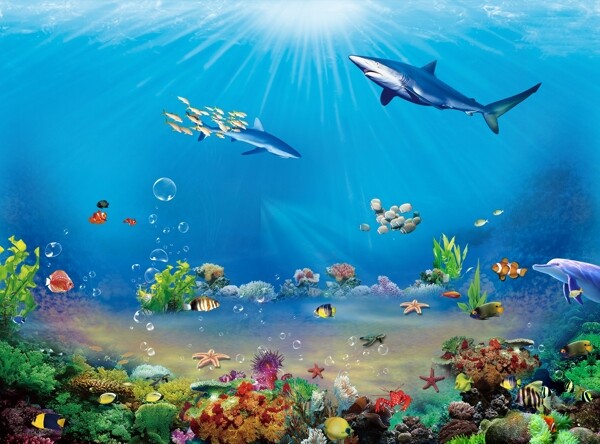 海洋素材圖片