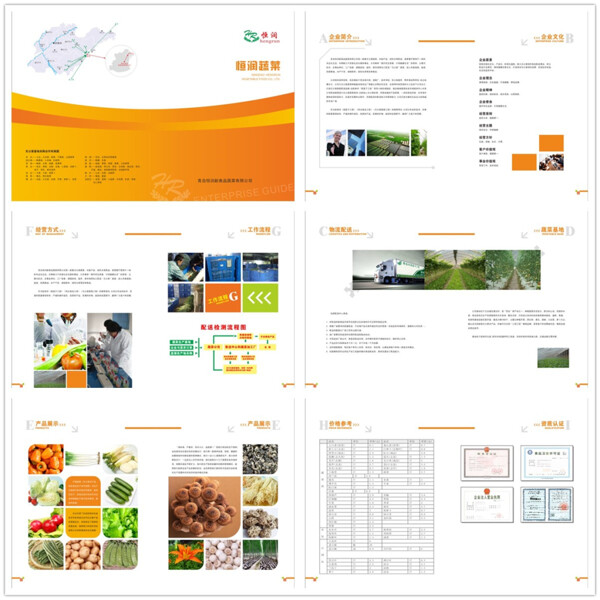 恒潤蔬菜企業(yè)畫冊