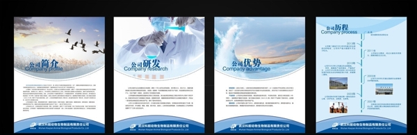 企業(yè)文化圖片