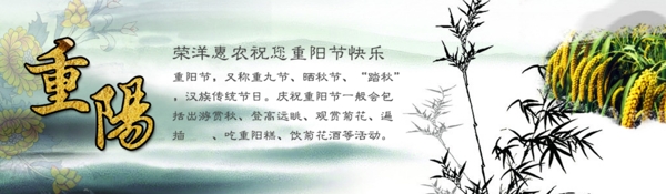 重陽節(jié)海報