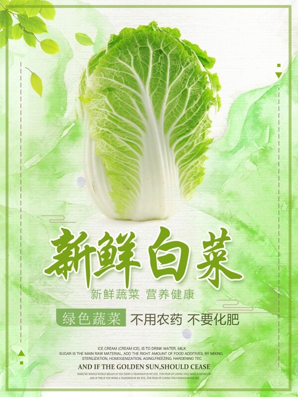 新鲜大白菜美食海报