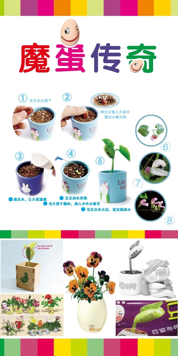 魔蛋傳奇圖片