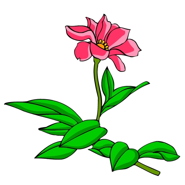 花卉古典插畫