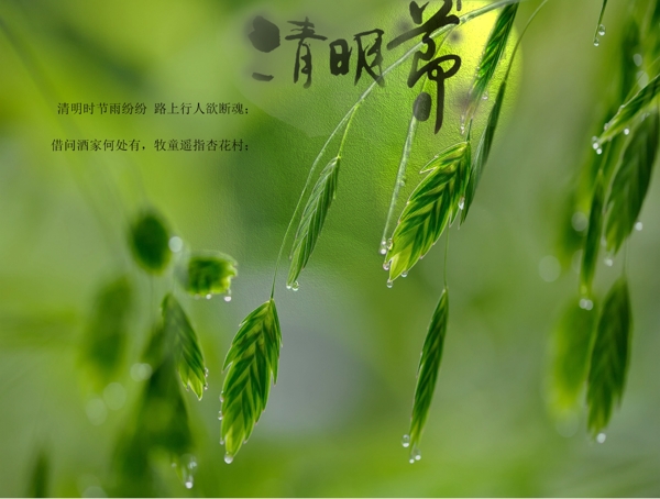 清明節(jié)