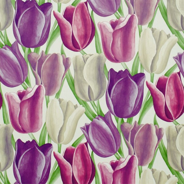 红白紫色郁金香花朵壁纸