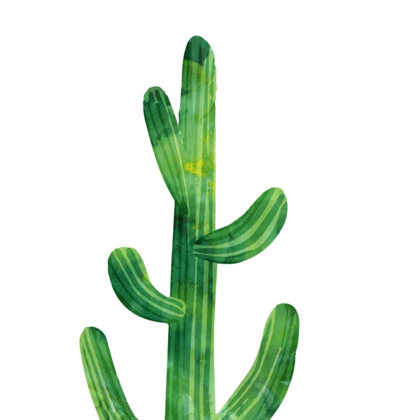 仙人掌