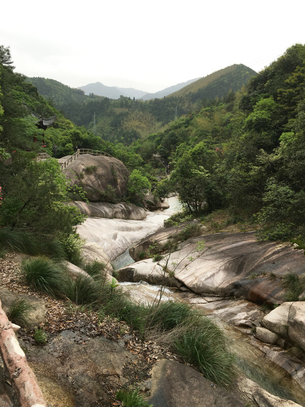 黃山鳳凰園