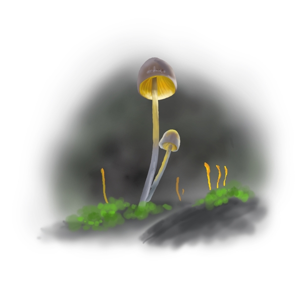 春天手绘蘑菇插画