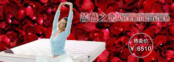 薔薇之戀圖片