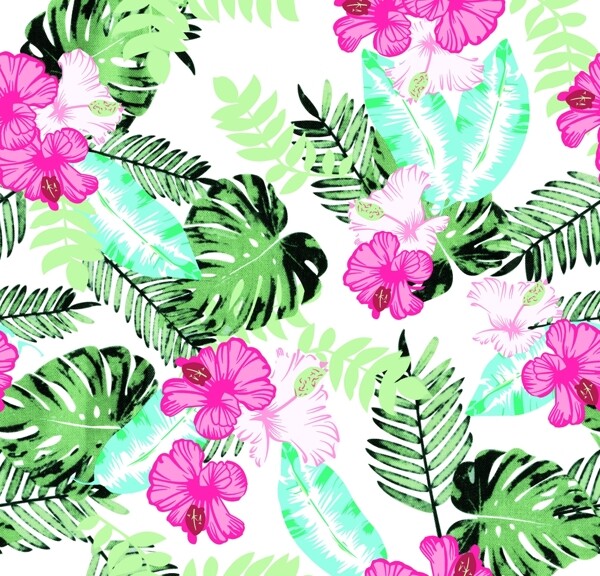 熱帶花