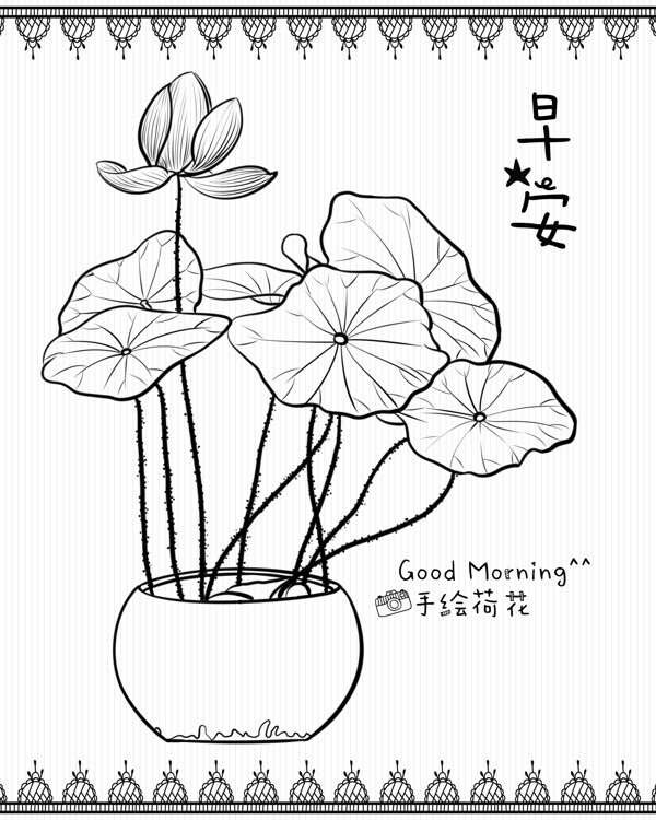 荷花