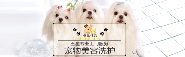 寵物通欄焦點促銷海報