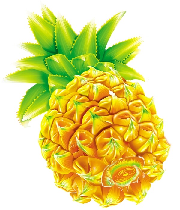 菠蘿