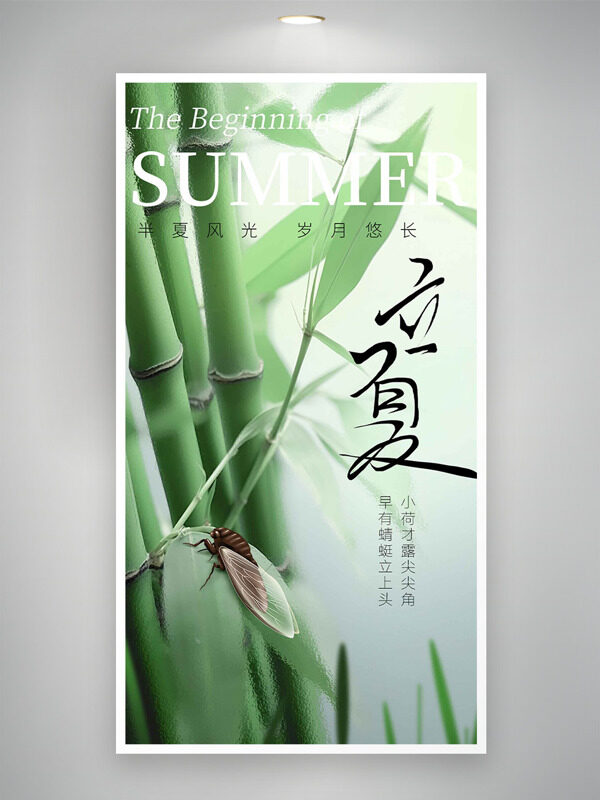 清新竹子背景夏蟬元素立夏節(jié)氣海報