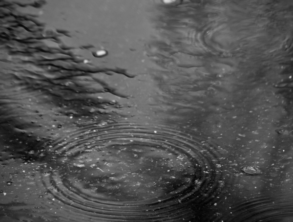 雨滴落在水面濺起一圈漣漪
