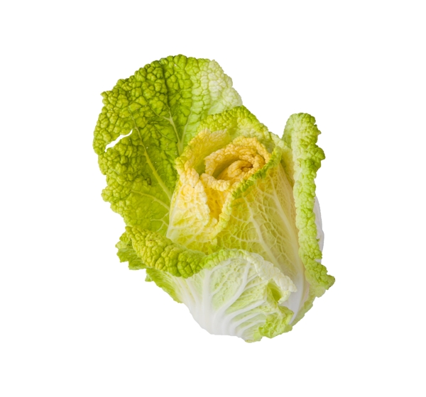 黃芽菜png免摳