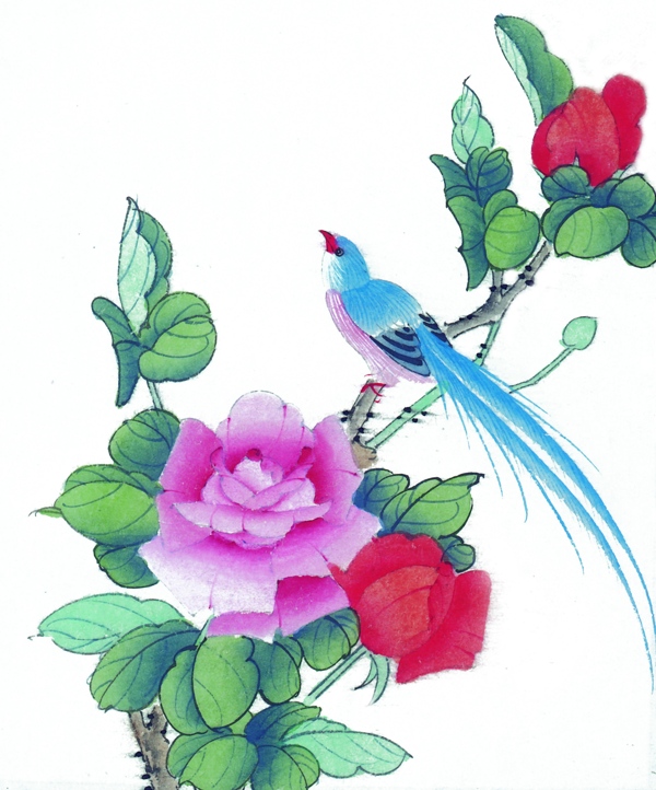 鮮花與小鳥圖片