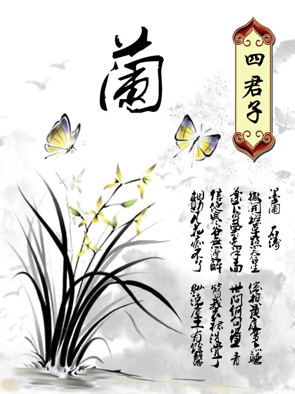 四君子之蘭圖片