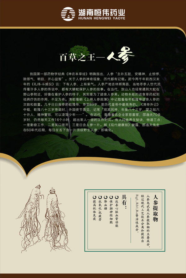 人參海報(bào)