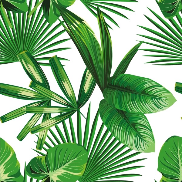 熱帶植物