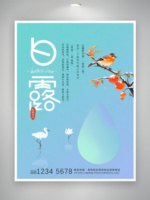 清新漸變花鳥畫插畫白露傳統(tǒng)節(jié)氣海報(bào)
