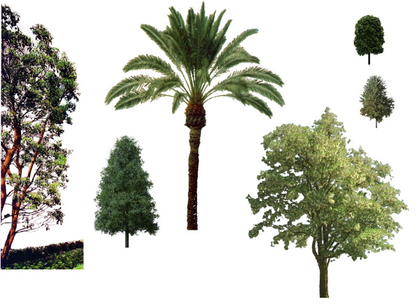 植物貼圖素材建筑裝飾JPG0242