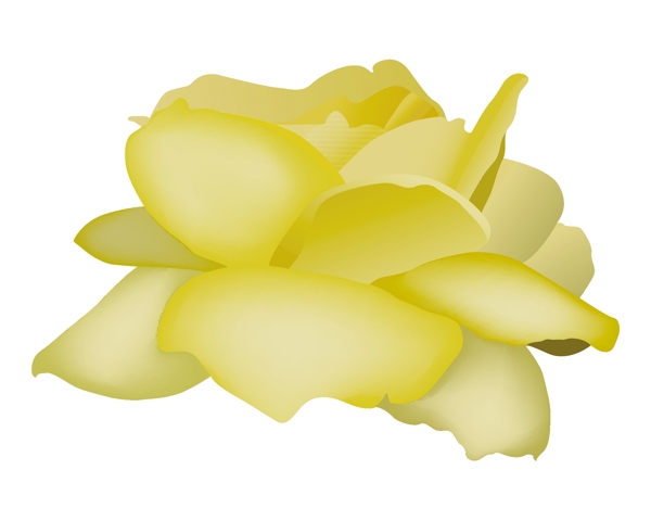 玫瑰花矢量