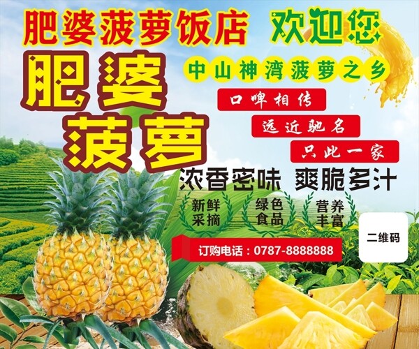 菠萝宣传海报