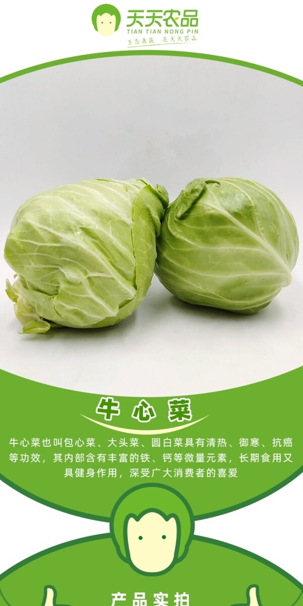 包菜