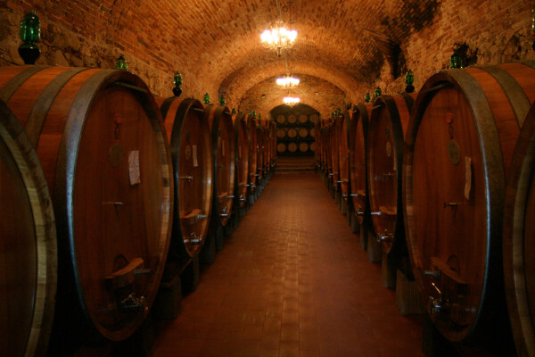 葡萄酒窖