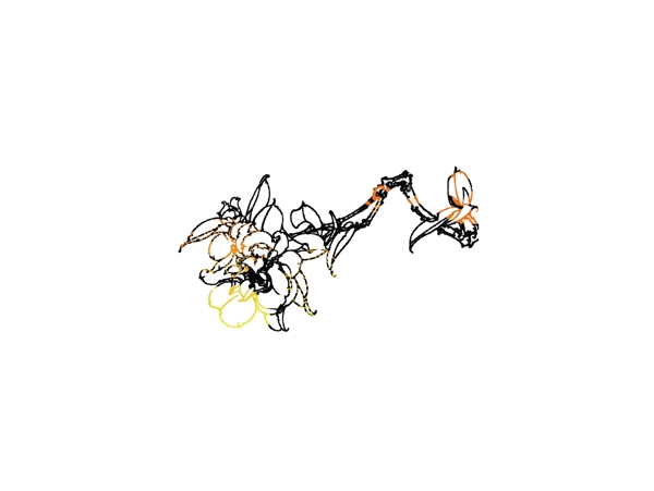 節(jié)日素材