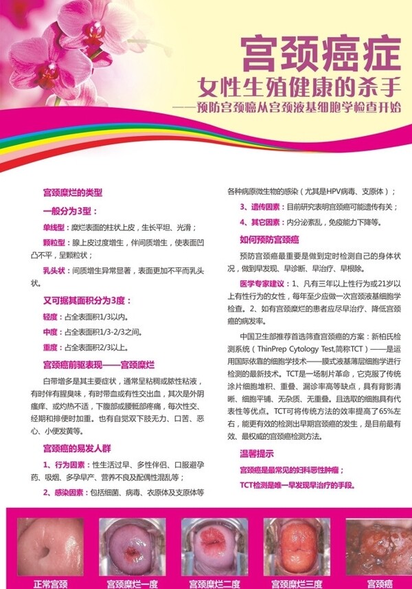 宮頸疾病宣傳圖片