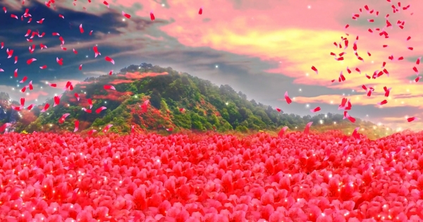 杜鵑花