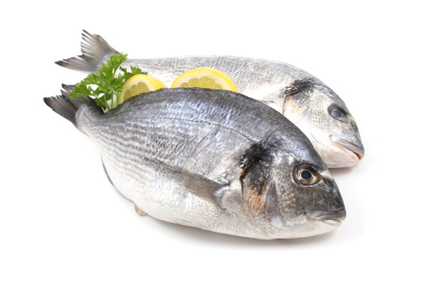 生魚圖片