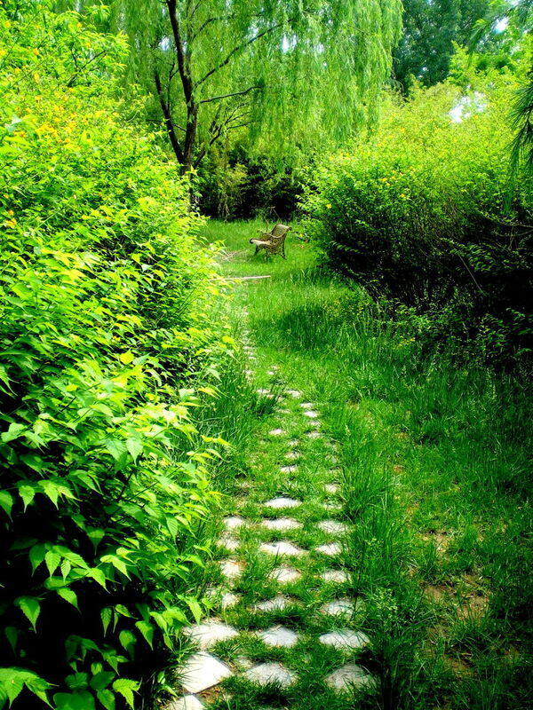 園中苑風(fēng)景